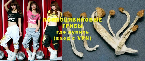 прущие крисы Магадан