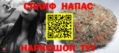 стаф Бузулук