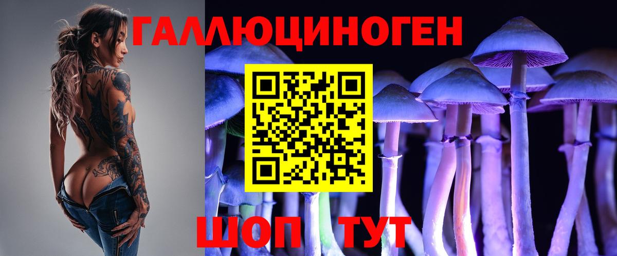 Псилоцибиновые грибы Psilocybine cubensis  даркнет сайт  Североуральск  Вход с VPN 